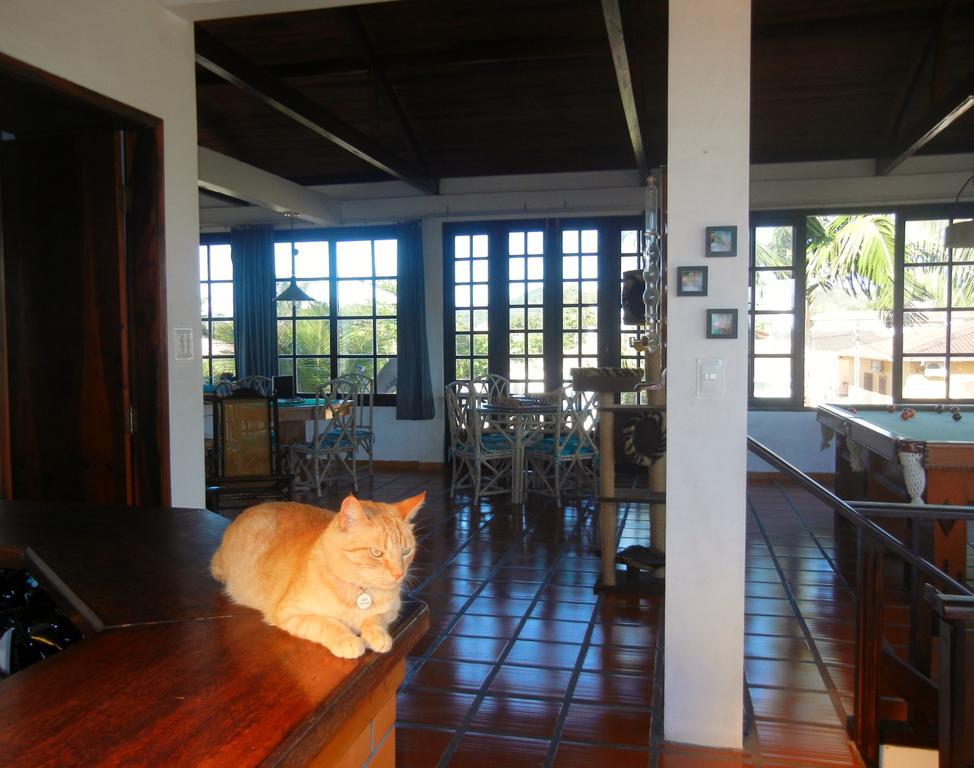 Hotel The Cats' House à Florianópolis Extérieur photo