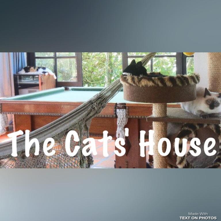 Hotel The Cats' House à Florianópolis Extérieur photo