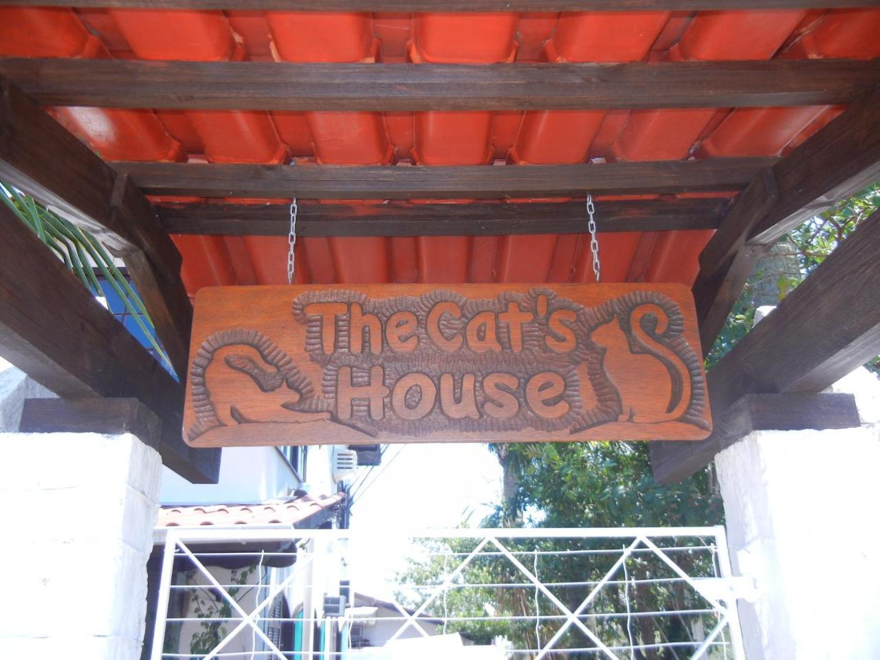 Hotel The Cats' House à Florianópolis Extérieur photo